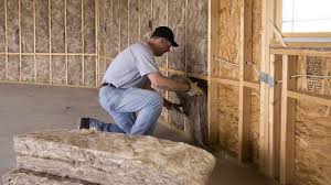 Best Eco-Friendly or Green Insulation Solutions in USA